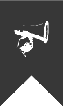 Skill flag